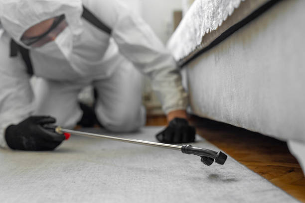 Professional Termite Control technician working in Moore Haven, FL