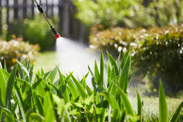 24/7 Emergency Termite Control experts in Moore Haven, FL